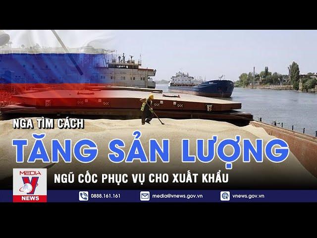 Nga tìm cách tăng sản lượng ngũ cốc phục vụ xuất khẩu - VNEWS