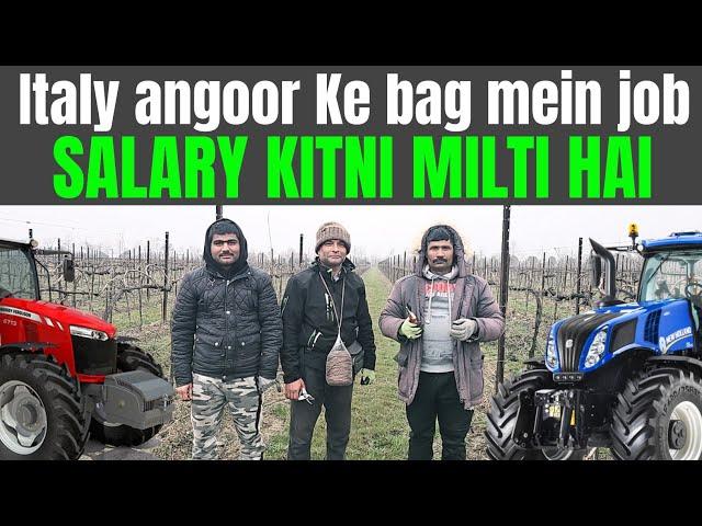 agriculture jobs salary in Italy | seasonal visa jobs and in Italy | seasonal visa | Gullu Vlogs