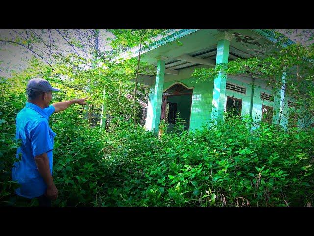 Vietnamese-American Man Returns to Old House After 20 Years, Danger from Rotten Coconut Tree