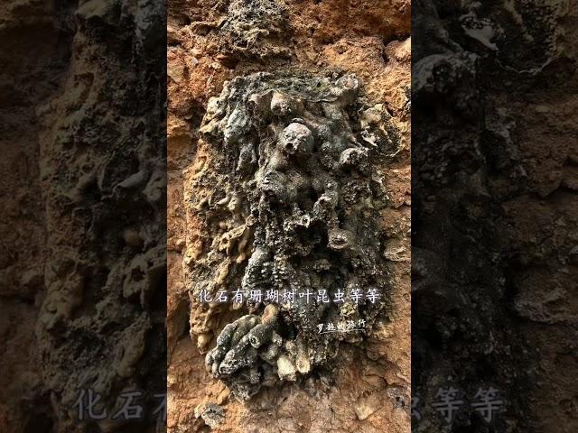 世界上最贵的村子，所有墙体都是3亿年前的化石，就连猪圈都不例外#旅行 #travel