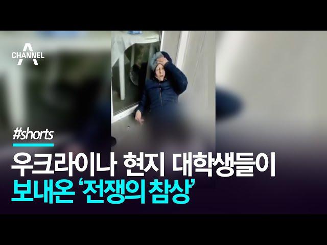 우크라이나 현지 대학생들이 보내온 ‘전쟁의 참상’ / 채널A #shorts