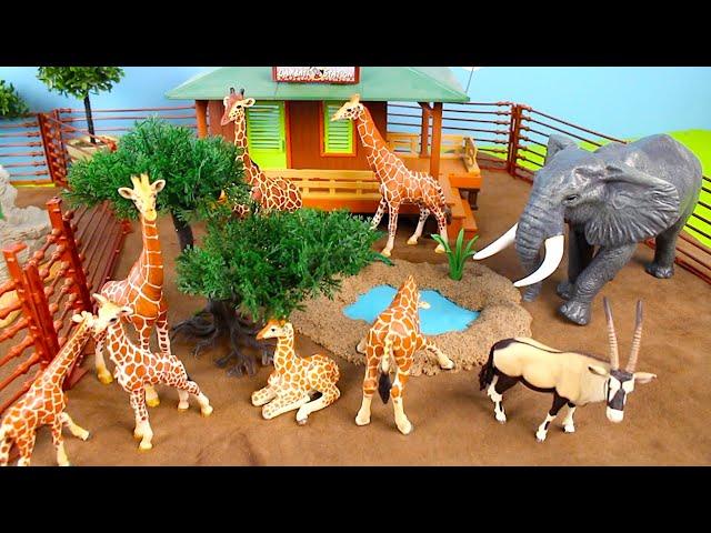 Fun African Safari Animals | Learn Animal Names with Figurines