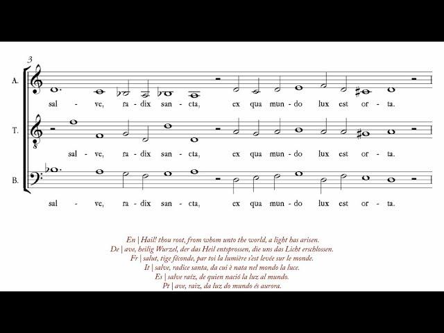 Dufay | Ave, regina cœlorum [á 3; Singer Pur]