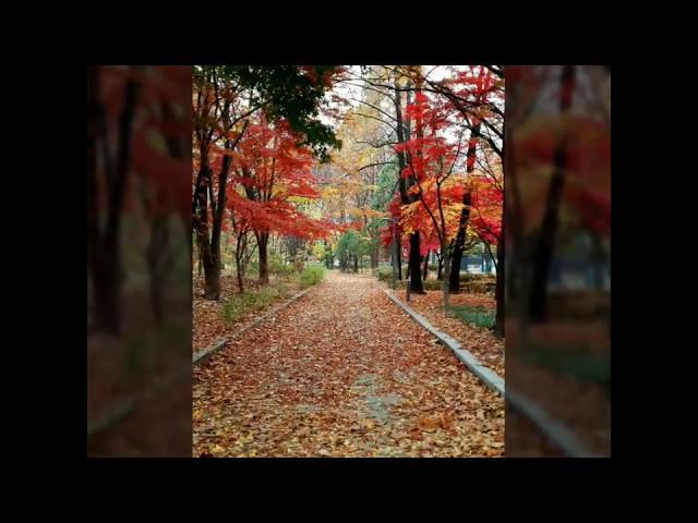 O Del Mio Amato Ben (오 나의 사랑하는 님이시여)_테너 김준서(Tenor. JunSeo Kim).2015.