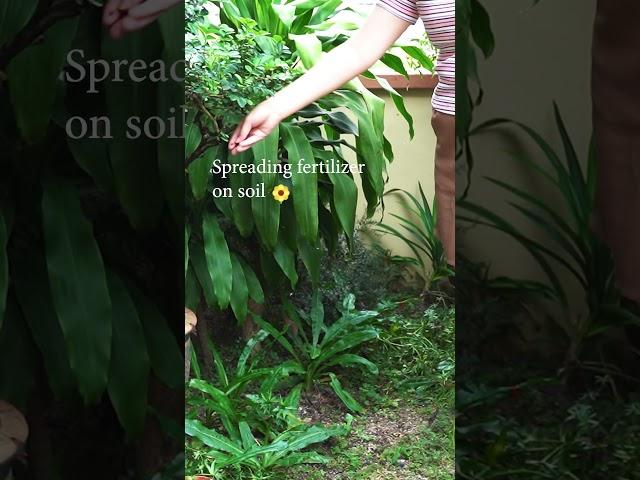 Mini vlog