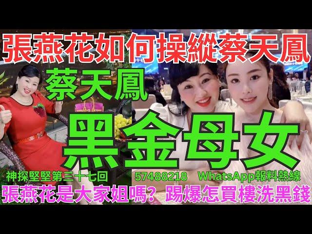 黑金母女。奇案系列42