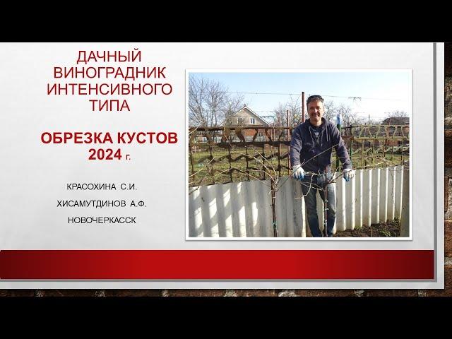 Дачный виноградник интенсивного типа: весенняя обрезка кустов, 2024г.@Krasokhina