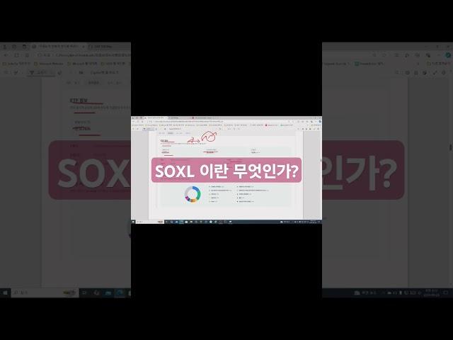 SOXL 이란 무엇인가?