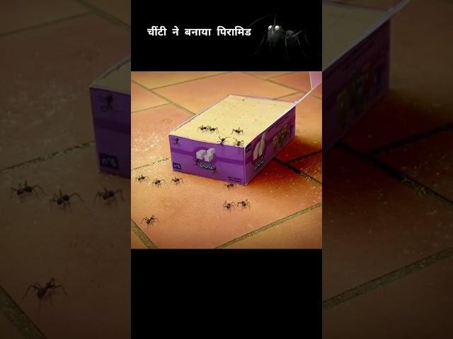 चींटी ने बनाया पिरामिड #shorts #viralshorts #ytshort #trendingshorts #animation #cartoon