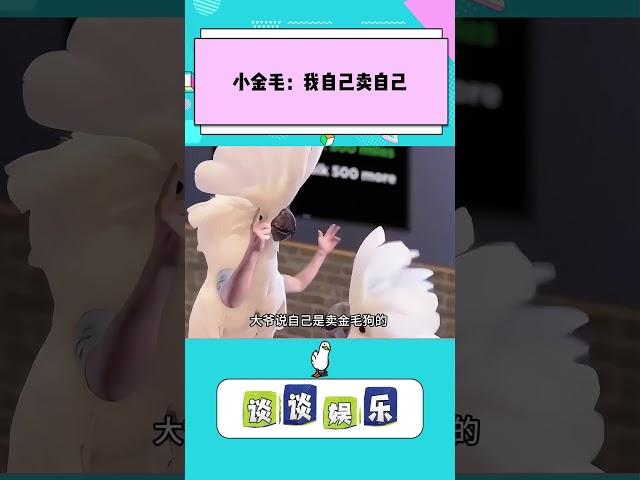 大爷卖金毛狗却摆着空狗笼