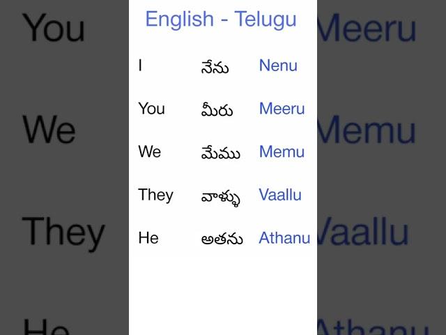 Telugu - English Common Words | Learn Telugu | Learn English | Easy Langauge