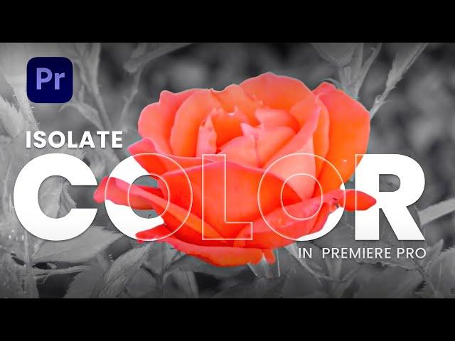 Isolate a Single Color in Premiere Pro | Premiere Pro Tutorial | Isolate Color