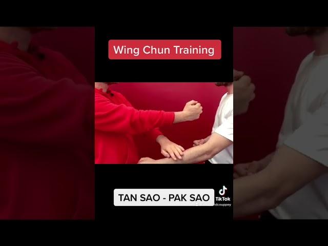 Wing Chun Training : kung fu fighting technique for beginners How to basic !