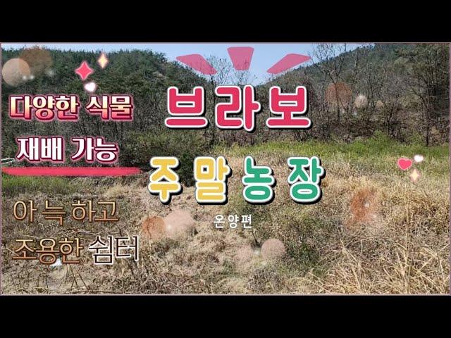 22 -14//전속중개// 철마 주말농장의 1/4가격에 나온 농장입니다.  경치좋고 공기좋은 주말농장입니다