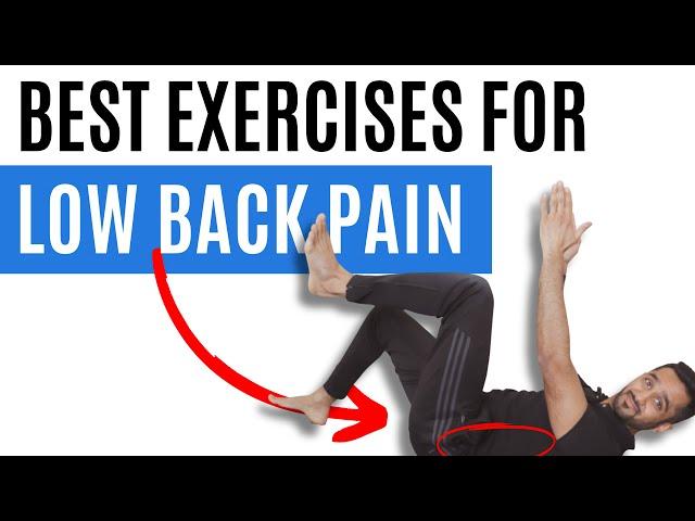 5 Absolute Best Exercises for Low Back Pain & Stiffness