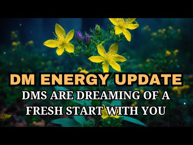 DM ENERGY UPDATE DMS ARE DREAMING OF A FRESH START WITH YOU