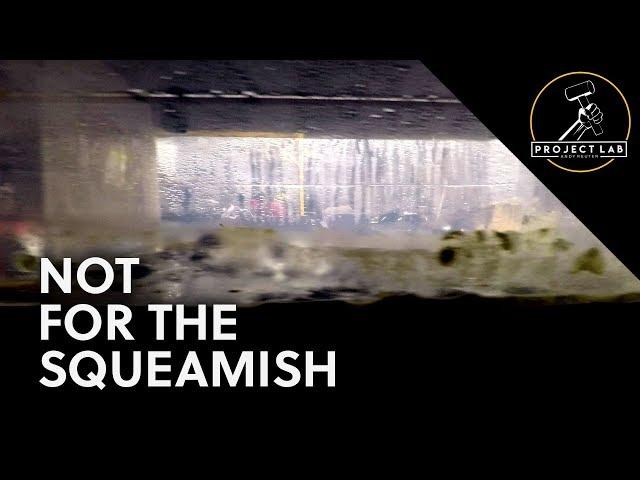 Molasses rust removal's dark secret