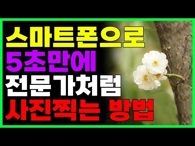 스마트폰으로 5초만에 전문가처럼 사진찍기 (쉽게 아웃포커싱 하는 방법)