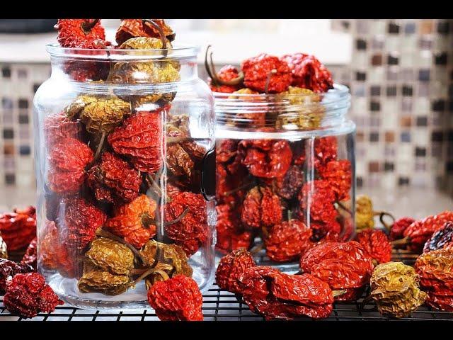 How To Dehydrate Peppers In Your Oven | CaribbeanPot.com