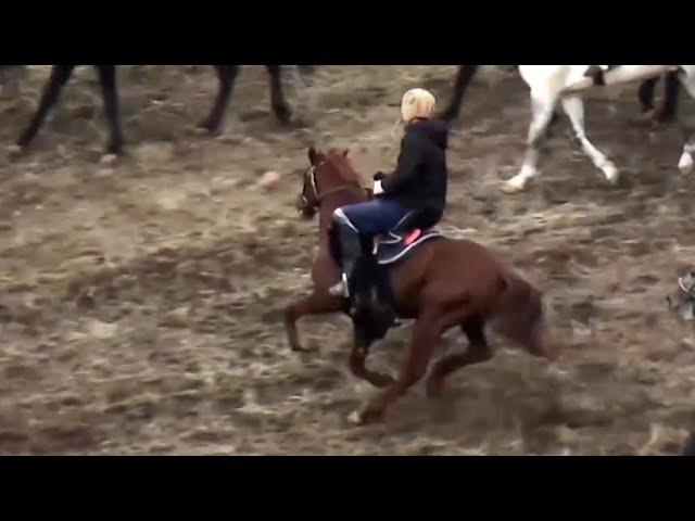 Бузкаши н.Темурмалик д.Муродбахш баромади Довуд човандоз д.Занги-БоБО н.Темурмалик #таджикистан