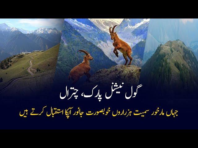 Gol National Park | House Of Thousands Of Animals | Documentary | Gwadar CPEC