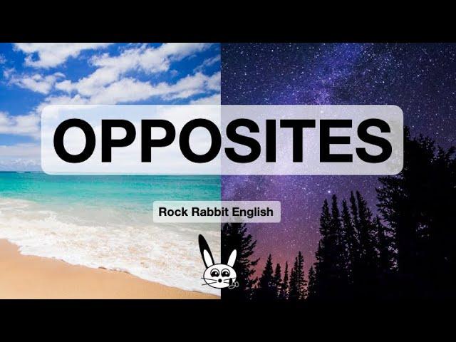 Opposites - Learn 30 Opposite Words