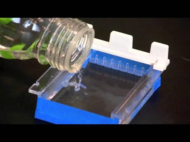 Casting an Agarose Gel