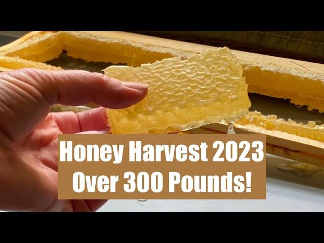 Honey Harvest 2023 ~ spring swarms, harvesting, extraction, bottling, and beeswax of whole season! 