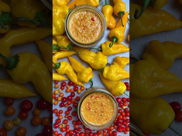 Simple ingredients makes the best pepper sauce