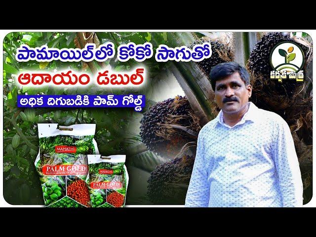 పామాయిల్ లో కోకో సాగుతో ఆదాయం రెట్టింపు| Success with cocoa cultivation in palm oil | Karshaka Mitra