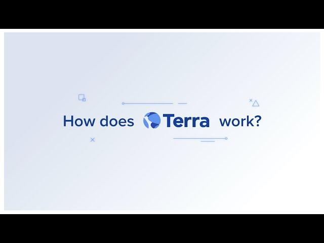 How Does Terra Work?