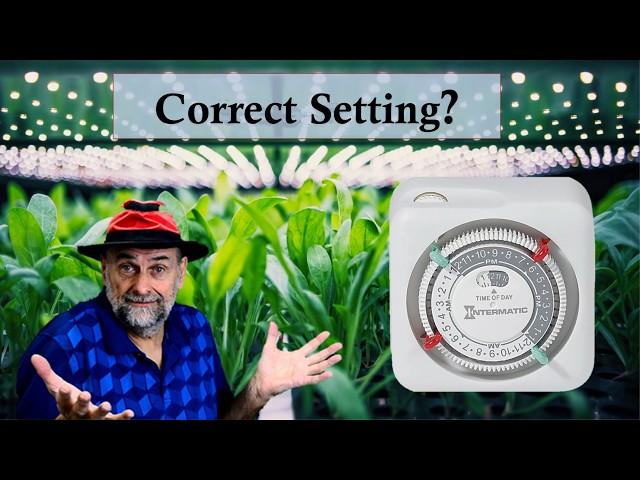 How Long Should Lights be On for Seedlings - Set Timers Correctly.