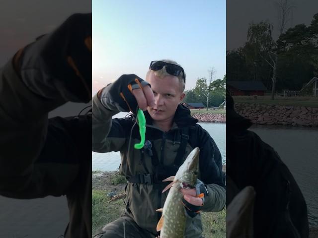 Бандита в деле проверяю! #щука #рыбалка #fishing