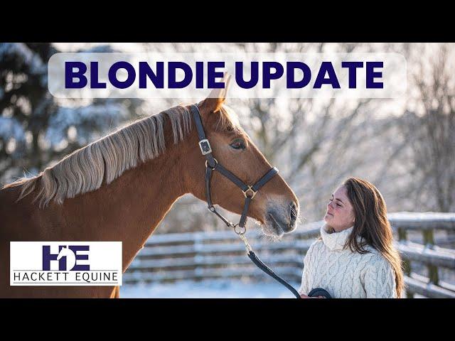 Blondie Update | PSSM | Diet and Hormones