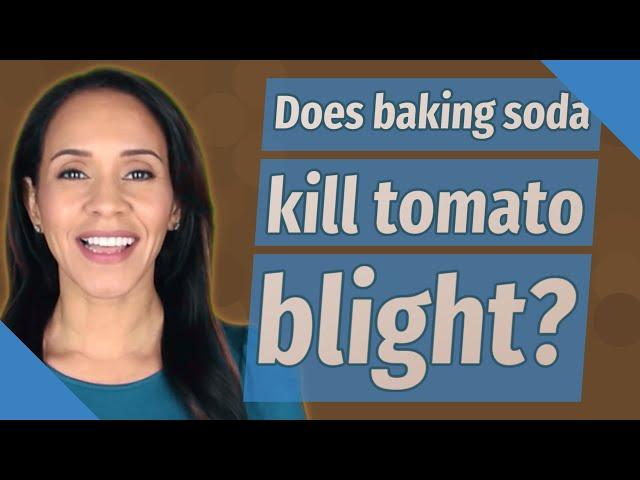 Does baking soda kill tomato blight?