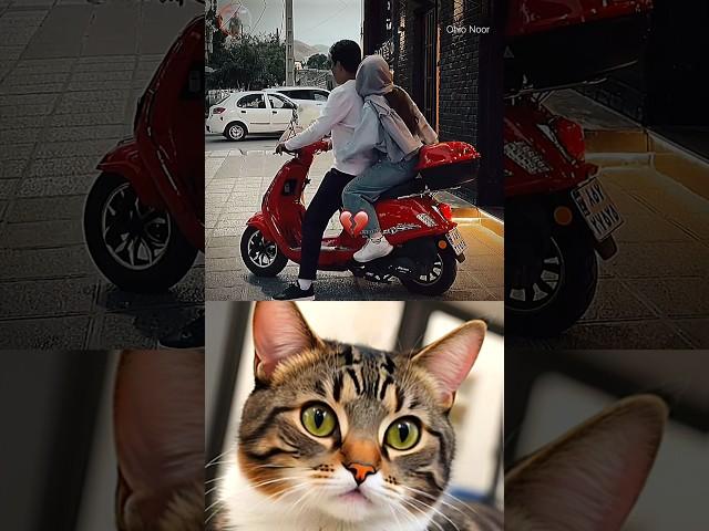 heart touching moment  #cat #memes #funny #trending