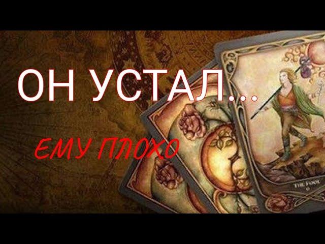 Что вам нужно знать о нем сейчас⁉️, он устал...
