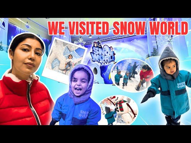 Visit to the snow world| we had to rush out | HINDI | WITH ENGLISH SUBTITLES | Debina Decodes |