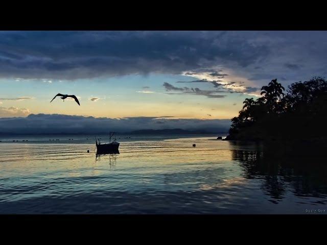 Florianópolis - The Magical Island by Susie Sun