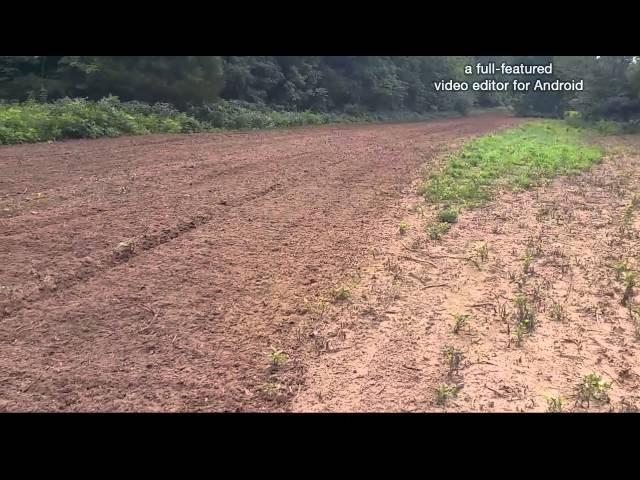 Creating another Missouri micro food plot