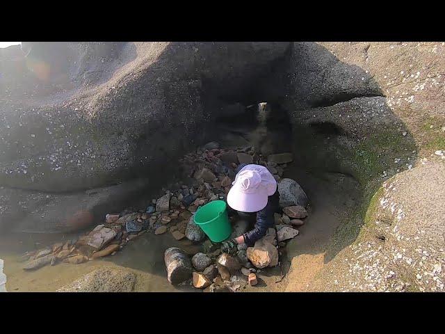 阳光明媚的好天气呀，让皮皮赶海更有劲了，钻进大石洞里找一找