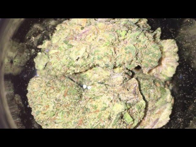 DANK King Mamba Strain Review