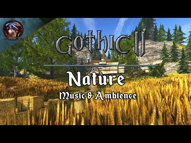 Gothic 2 Music & Ambience |  Nature Exploration | Relaxing