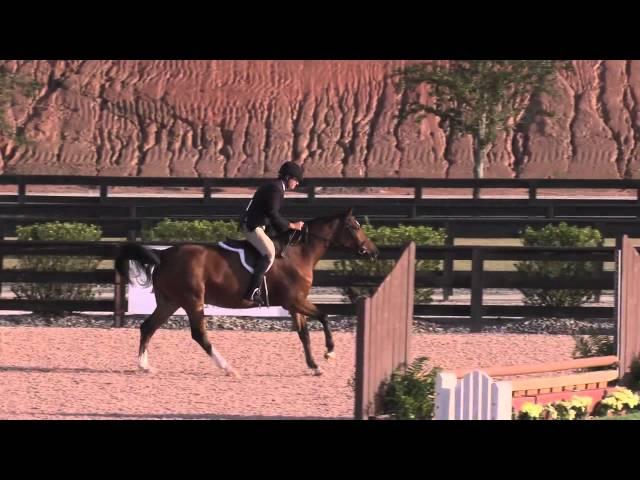 Calissi Clinches Baby Green Hunter Championship at Tryon Fall 4 with Impeccable Round over Fences