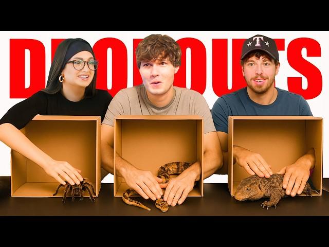 Facing Our Deepest Fears (What's In the Box? *Exotic Animal Edition*) | Dropouts Podcast
