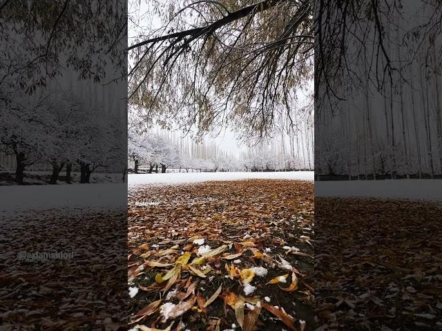 Autumn Meet Snow Shigar Valley Gilgit Baltistan , Travel Awesome Moment https://reegoadventure.com