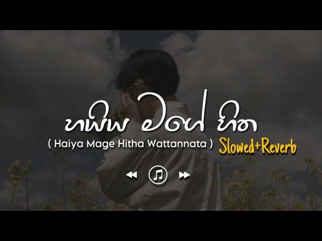 Haiya Mage Hitha - හයිය මගේ හිත (Slowed+Reverb)