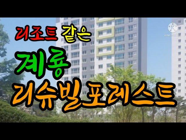 계룡리슈빌 설경