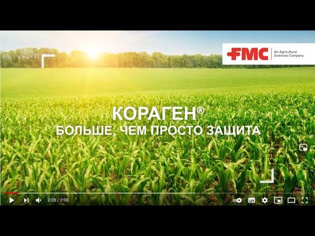 Кораген® - инсектицид от компании FMC: надежный контроль самых проблемных вредителей кукурузы!