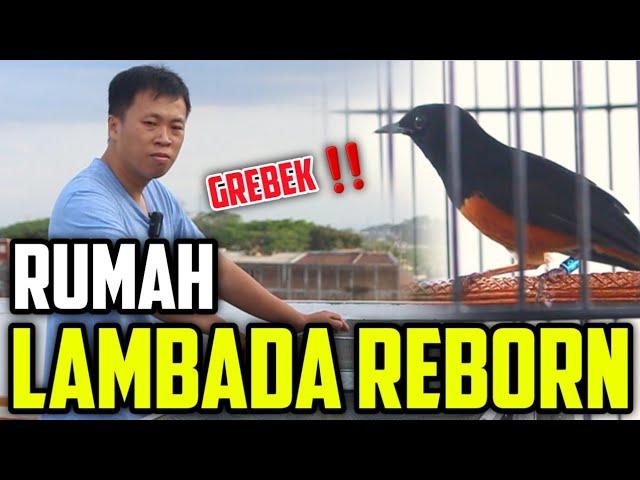 GREBEK ‼️ RUMAH LAMBADA REBORN..